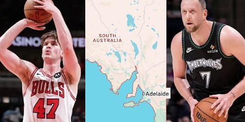 kaiyun体育网-阿德莱德人偷摸霸榜NBA，2人同天10助攻历史头一遭